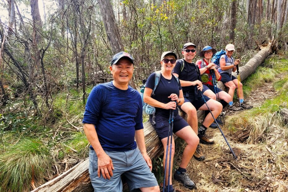 Vic Alps Three Peaks Testimonial