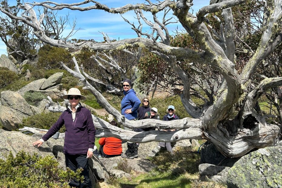 Snowy Mountains Testimonial December 2025