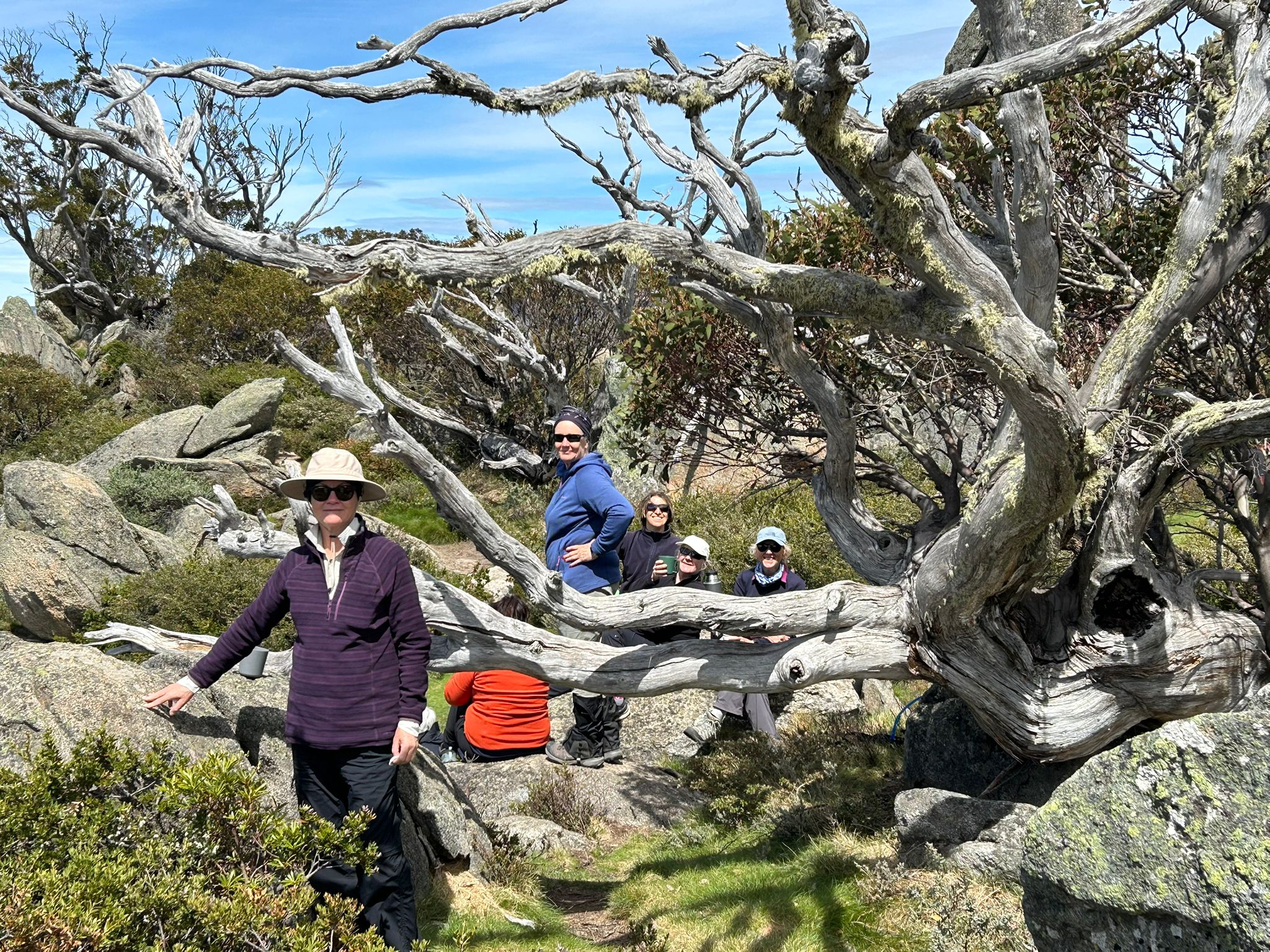 Snowy Mountains Testimonial December 2025