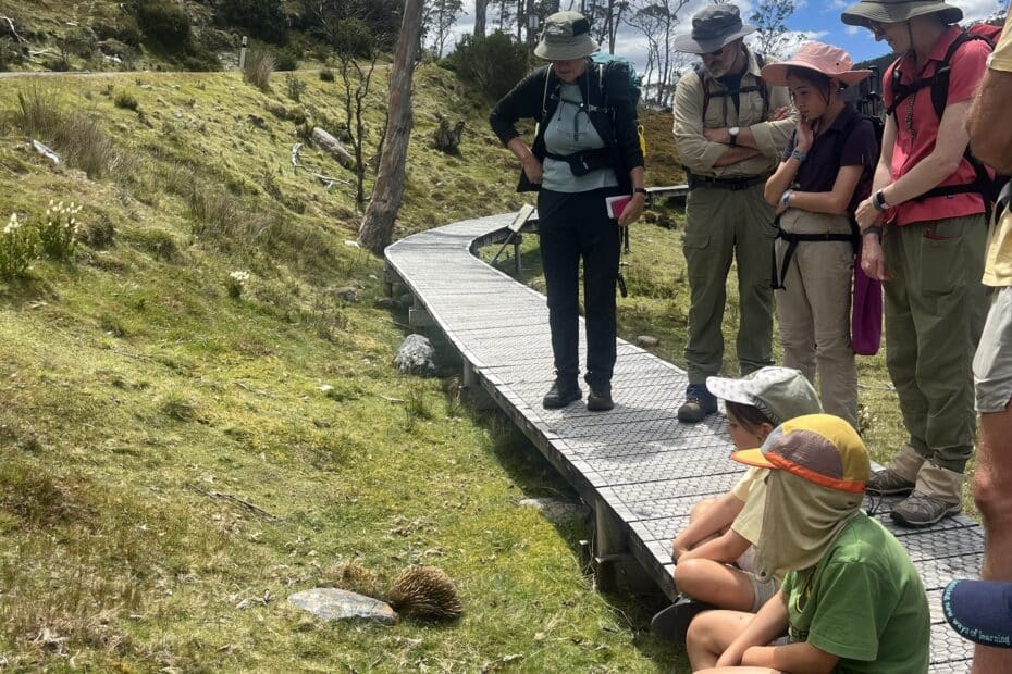 Cradle Mountain Testimonial January 2026