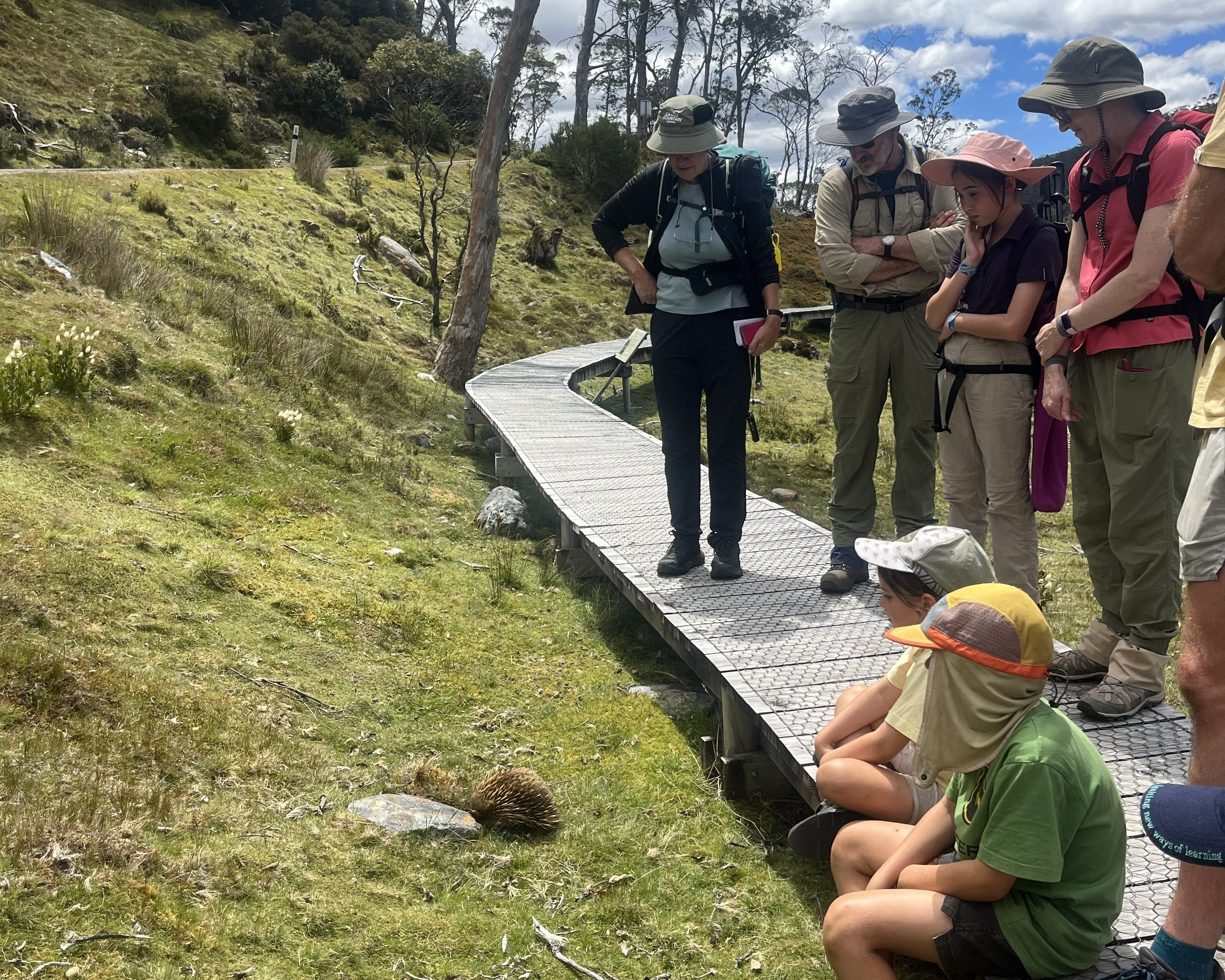 Cradle Mountain Testimonial January 2026