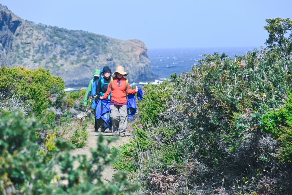 Doctors for the Environment Three Capes Charity Walk | Park Trek Charity Groups