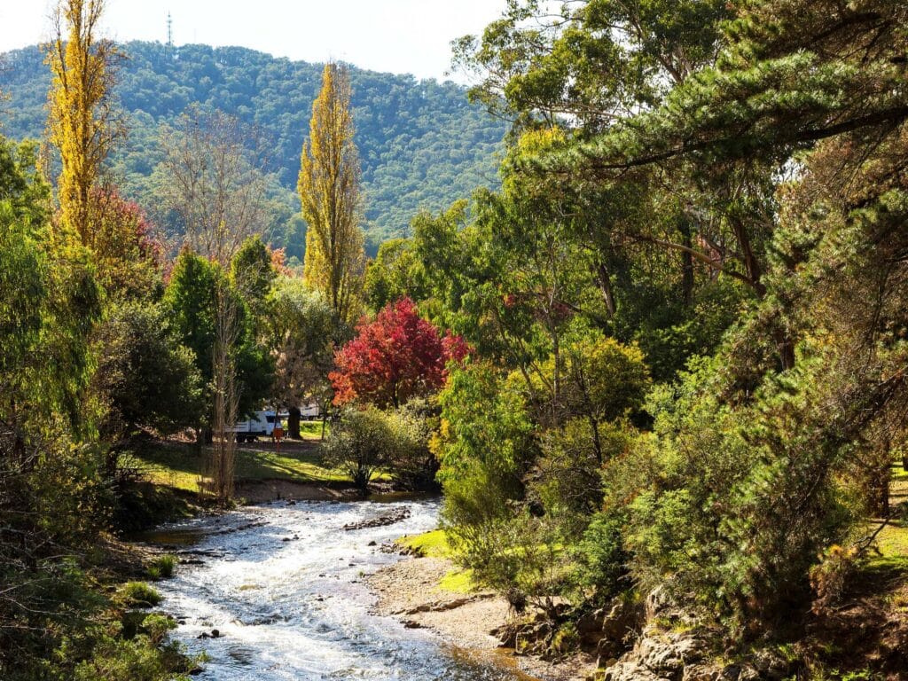 VA 3 Peaks Bright | Park Trek Victorian Alps Beautiful Bright