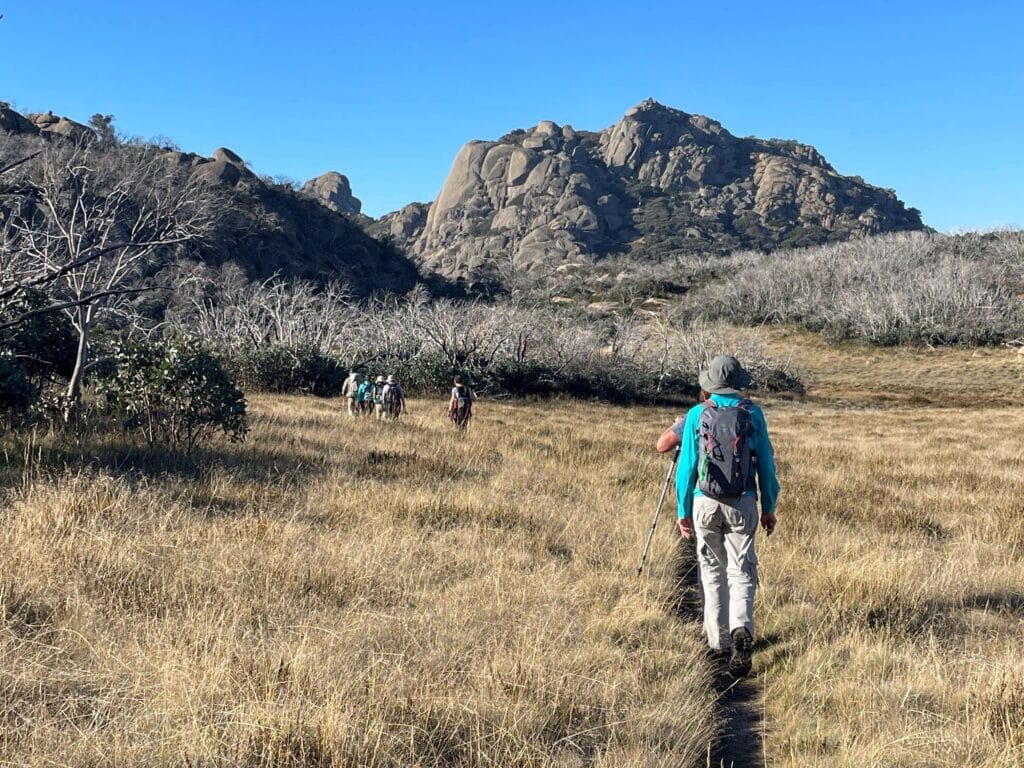 VA Highlights Hike | Park Trek Victorian Alps Walk High Country
