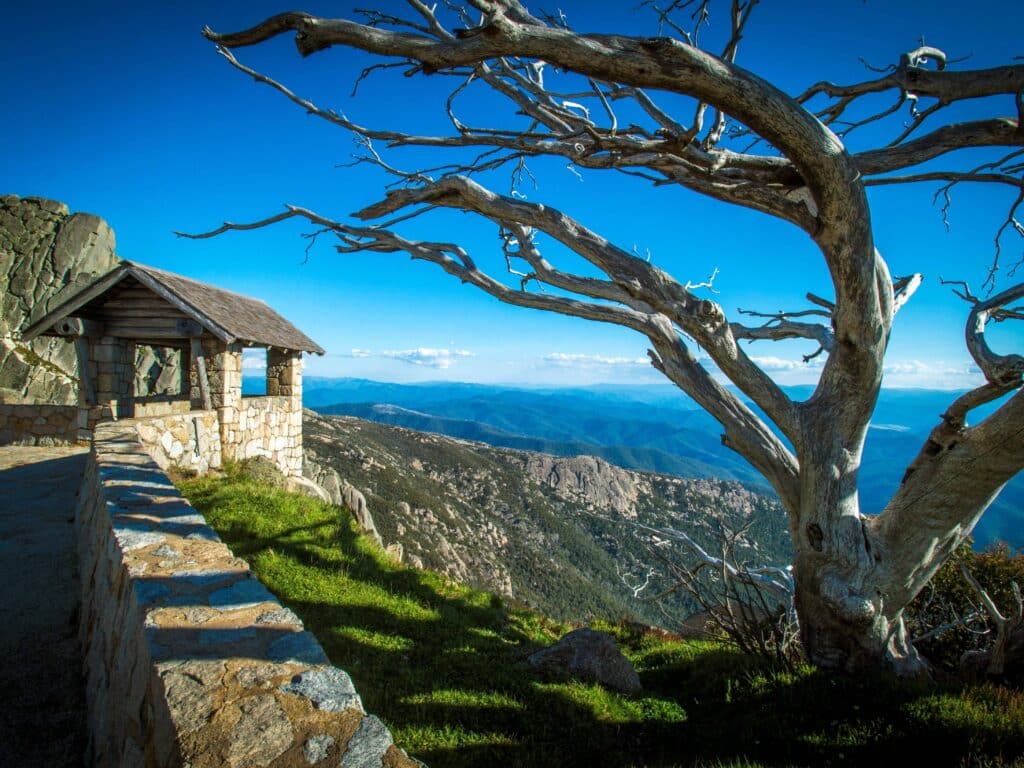 VA Highlights Mt Buff 2 | Park Trek Victorian Alps Walk