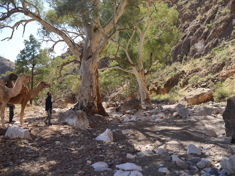 Best Guided Walks in South Australia