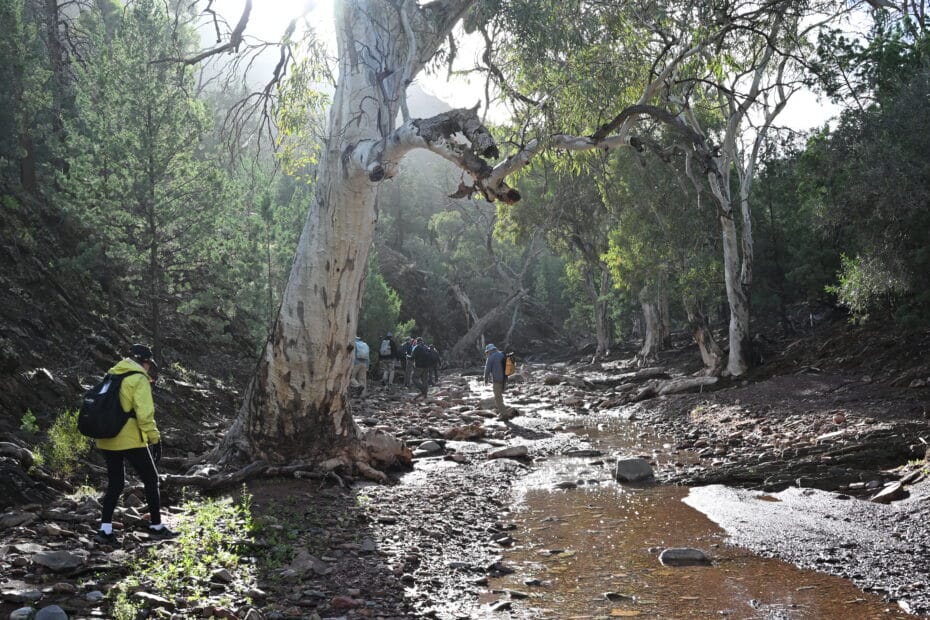 Flinders Ranges June 2026