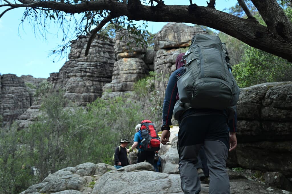 DSC_4272 | Park Trek walking and team building grampians