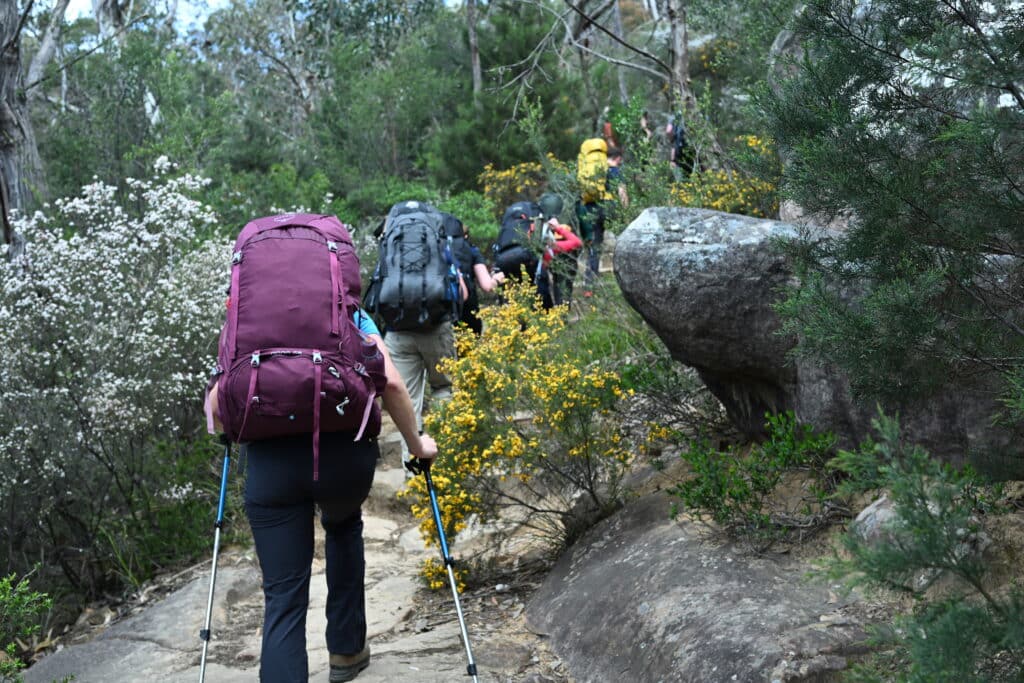 DSC_4313 | Park Trek walking and team building grampians
