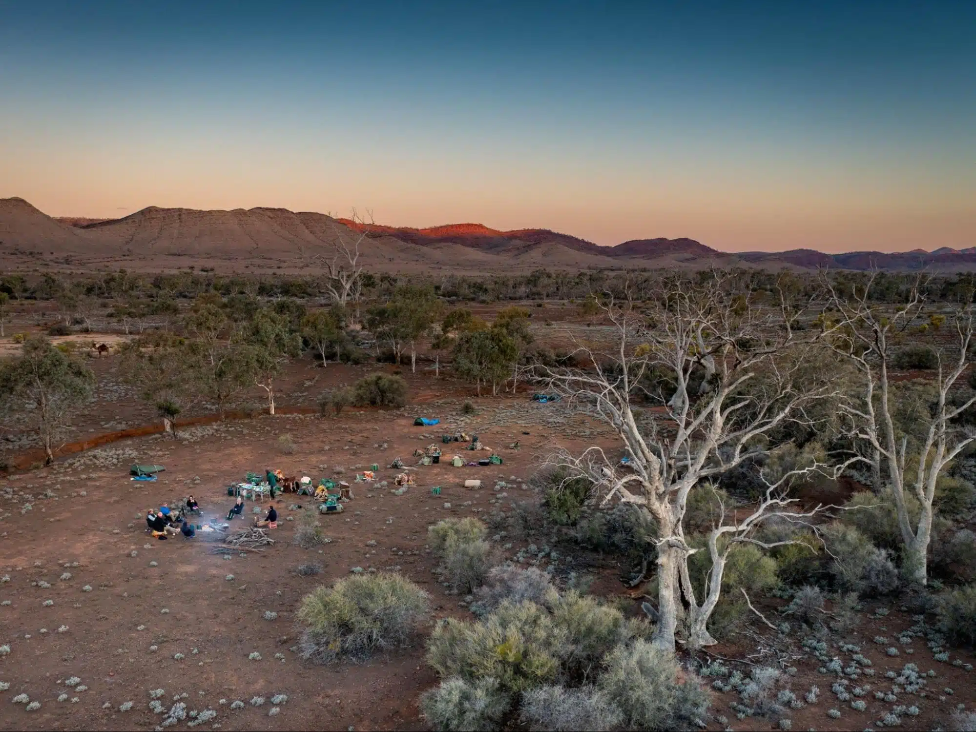 camping on an outback walking tour actually like | Park Trek Desert campground at dusk with a group of people sitting around a campfire, tents and gear nearby, sparse trees and distant hills on the horizon.