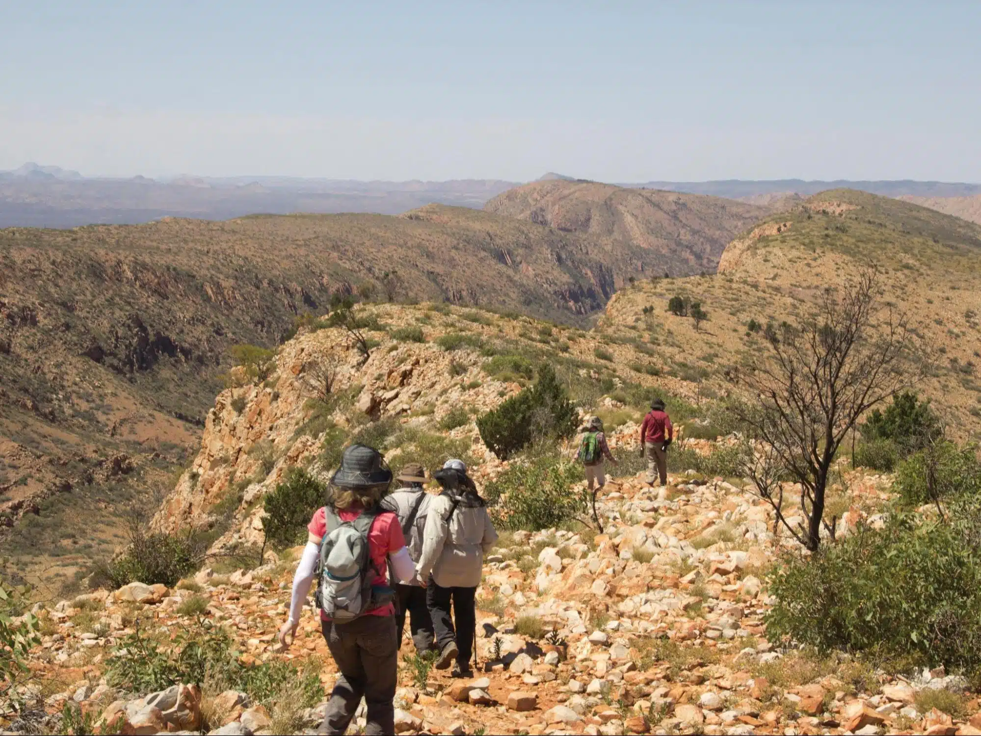 Group of hikers with backpacks walking along a rocky desert trail, canyon landscape in the distance.